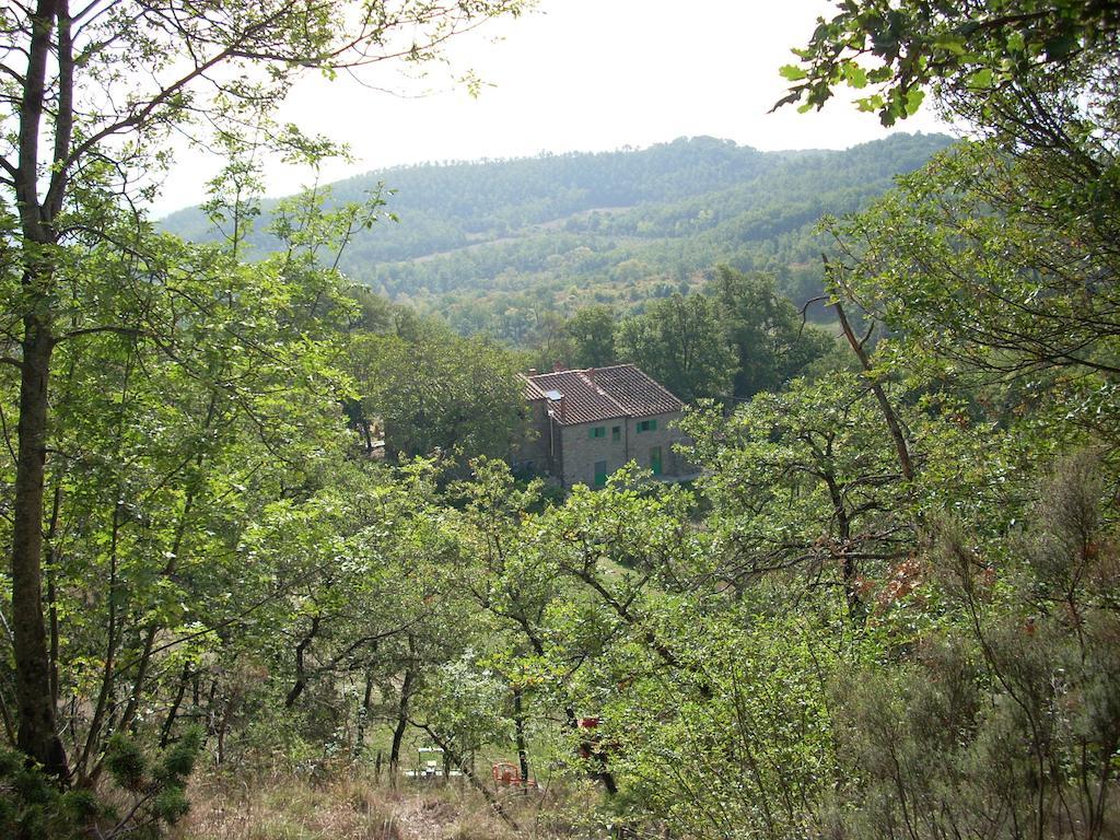 All'Antico Silbule Capolona Exterior photo